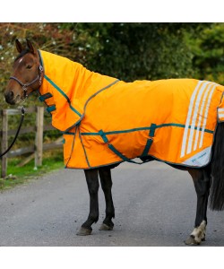 R219 Seacroft combo 200g Turnout Rug